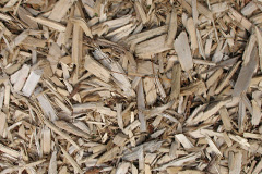 biomass boilers Reiss